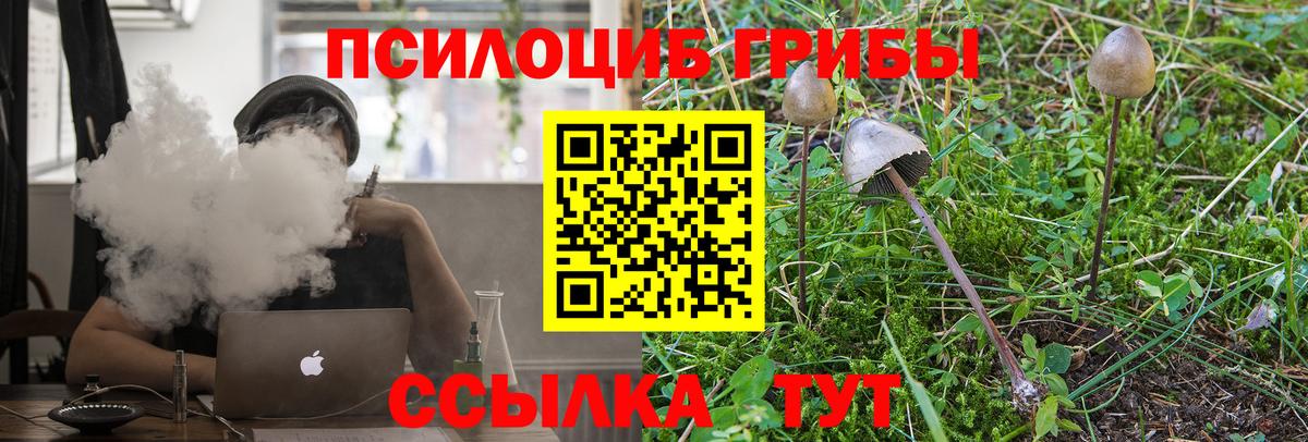 Псилоцибиновые грибы MAGIC MUSHROOMS Энгельс
