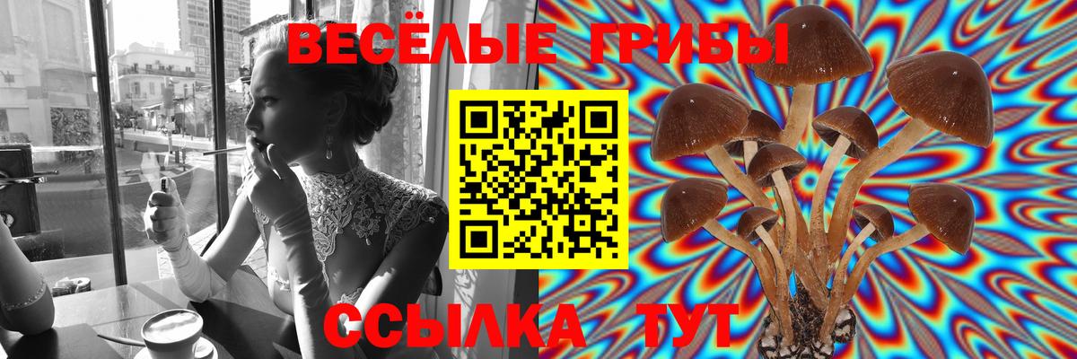 Галлюциногенные грибы прущие грибы  Вход с VPN  Энгельс 